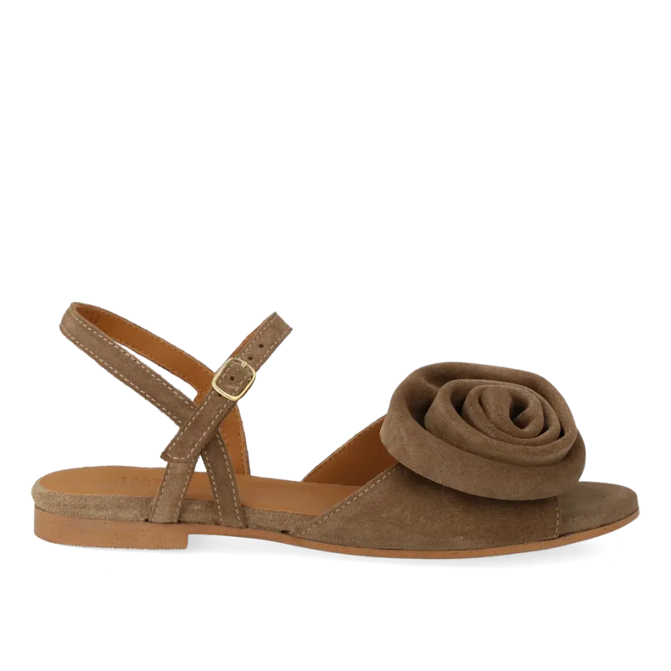 Angulus sandal med rose ruskindssandal til fest
