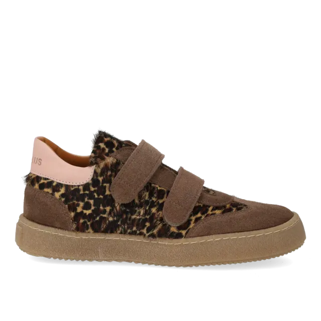Angulus Court sneaker leopard sneakers velcro